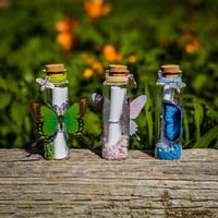 Image 3 of Butterfly 3D - Message in a Bottle