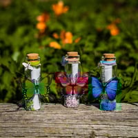 Image 1 of Butterfly 3D - Message in a Bottle