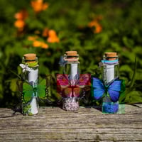 Image 6 of Butterfly 3D - Message in a Bottle