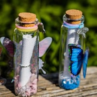 Image 4 of Butterfly 3D - Message in a Bottle