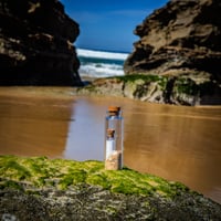Image 1 of Message in a bottle... in a Bottle