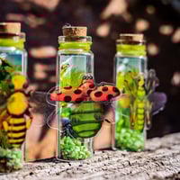 Image 3 of Insects (3D) - Message in a Bottle