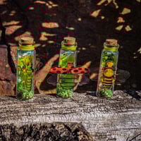 Image 5 of Insects (3D) - Message in a Bottle