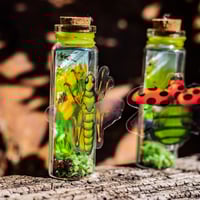 Image 6 of Insects (3D) - Message in a Bottle