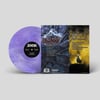 VINYL "Mind Pollution" + "Rebirth"