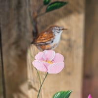 Image 2 of Wee wren in the rambling rose.