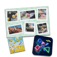 Pokemon Snap Set