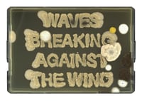 Waves Breaking Against The Wind