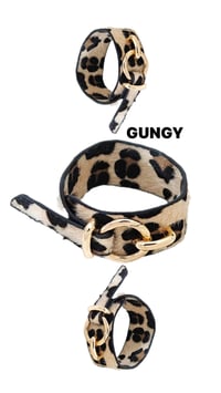 Image 14 of GUNGY