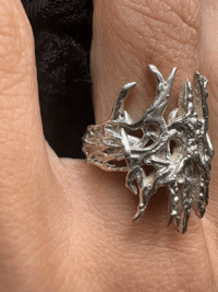 Image 4 of Lost Helm | Ring