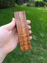 Image 2 of Tasmanian Blackwood 51