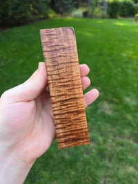Image 1 of Tasmanian Blackwood 51