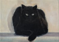 CAT - Portrait of the Collaborator