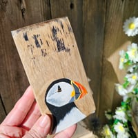 Image 2 of Wee Puffin