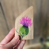 Image 2 of Wee Pink Thistle.