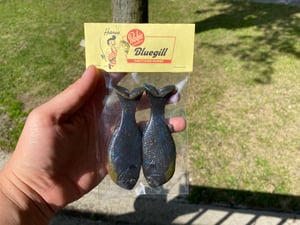 Image of Bob’s Bluegill 2pk (Warmouth)