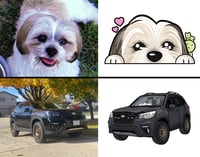 Image 1 of CUSTOM CAR/PET DESIGN!