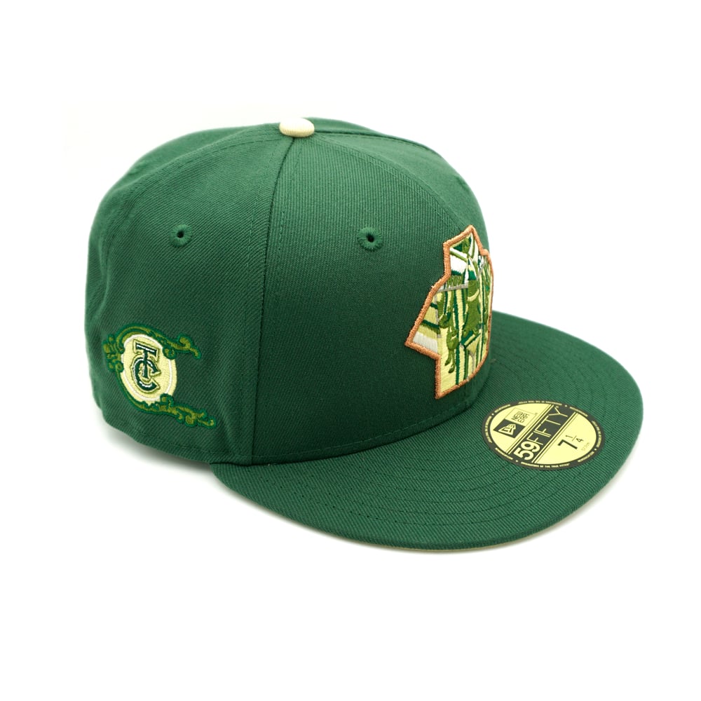 Dolla and a Daydream 59Fifty