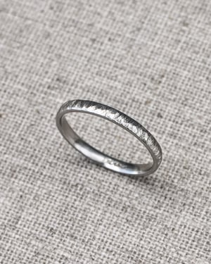 Image of Platinum 2mm horn texture ring