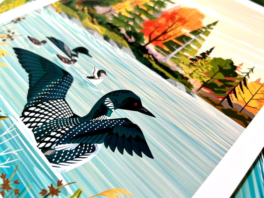 Image of Loons on the Lake