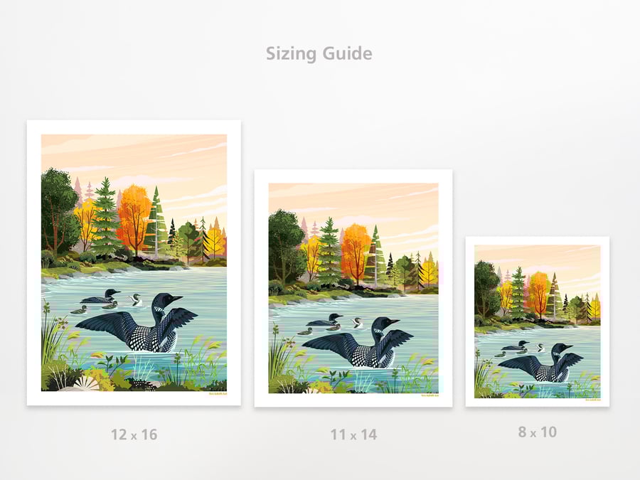 Image of Loons on the Lake