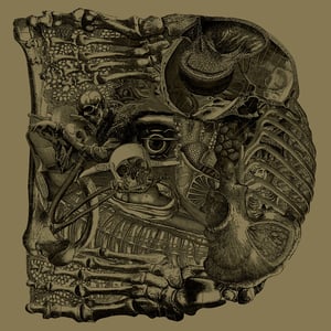 Image of Boris - Dear 7"