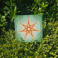 FAERY STAR - 6x6 prints