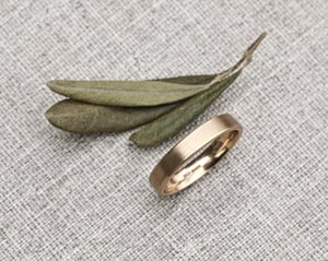 Image of 9ct gold 4mm matte finish flat court ring