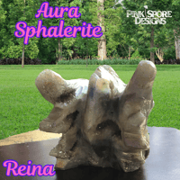 Image 5 of Reina; Druzy Aura Sphalerite Dragon Skull Carving
