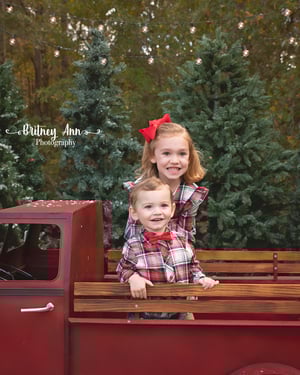Image of Outdoor Minis Nov. 10