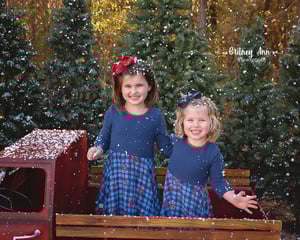 Image of Outdoor Minis Nov. 10