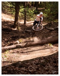 PRINT: TOMAHAWK TREE GAP