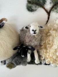 Image 6 of 'Sheep & Trees'