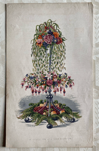 Antique floral illustration (H)