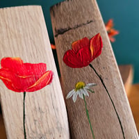 Image 3 of Wee wild poppies and daisies. 