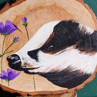 Image 5 of Wee Badger and mallow flowers. 