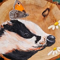 Image 5 of Wee Badger, Small Heath and daisies.