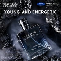 High quality 105ml Night Club Carnival Perfect club de nuit Vietnam arabic Woody lasting fragrance .