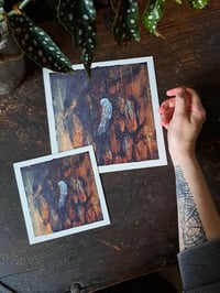 Image 1 of "Vaisto" Fine art prints