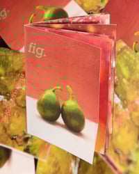 fig. zine