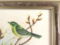 Image 2 of Vintage Fabric Painting of Birds on Tree Branches in Frame Sized 11 1/4 x 9 1/4 inches, Unsigned 