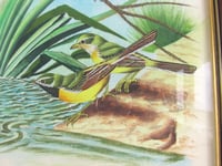 Image 5 of  Vintage Painting on Fabric, Birds by a River, in Frame Sized 11 3/10 x 9 1/4 inches, Unsigned 