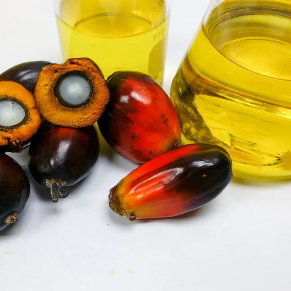 Image of Honduran Batana Hair Oil 