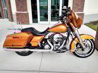 Image 1 of Willy G HD Saddlebag Graphic