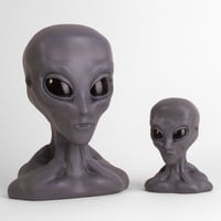 Image 3 of 3D Sculpted Grey Extraterrestrial Bust