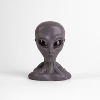 Image 5 of 3D Sculpted Grey Extraterrestrial Bust