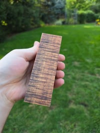 Image 3 of Tasmanian Blackwood 56