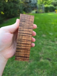 Image 2 of Tasmanian Blackwood 56