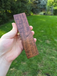 Image 2 of Tasmanian Blackwood 58