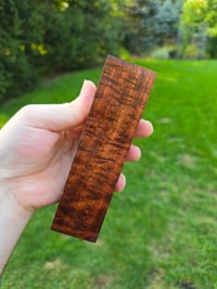 Image 3 of Tasmanian Blackwood 58